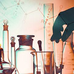 Lab Lab